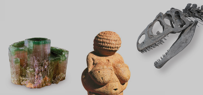 Turmalin, Venus, Allosaurus, NHM Grüner Kristall, steinerne Venusfigur und Dinosaurierschädel nebeneinander